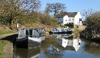 Spring Morning - Canal near Bull's Head, High Lane