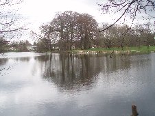Poynton Pool