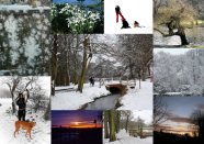 The Competition Entries