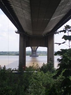 Under the bridge