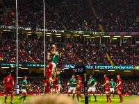 Line out Drama at Cardiff Arms