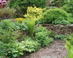 Hazel Grove Secret Garden