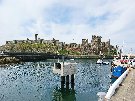 Peel Castle from the Harbour