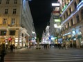 Vienna at night