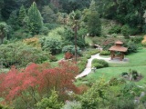 Japanese Garden