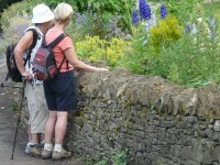 A Winchcombe garden