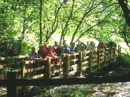 Crossing Haltwistle Burn