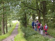 Wall, ditch, and path, approaching Housesteads