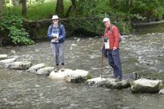 Near Rosthwaite