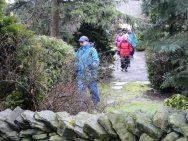 Path through garden