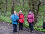By wild garlic banks