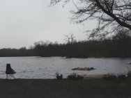 View of lake from lunch spot