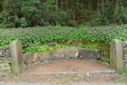 The Horse Troughs