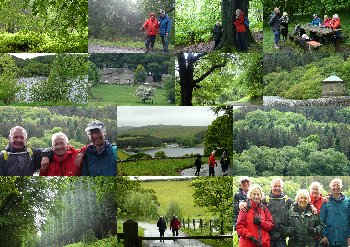 Collage of photos from the walk