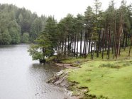 Tarn Hows