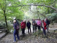 By the River Goyt