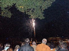 Firework Display