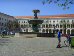The university